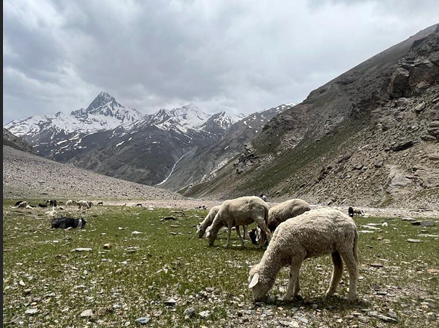 From Farm to Fashion