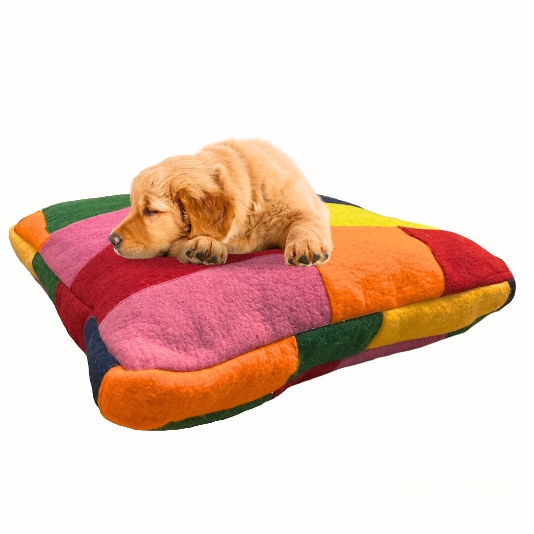Rectangle Wool Felt Pet Bed – Sustainable Comfort for Conscious Living