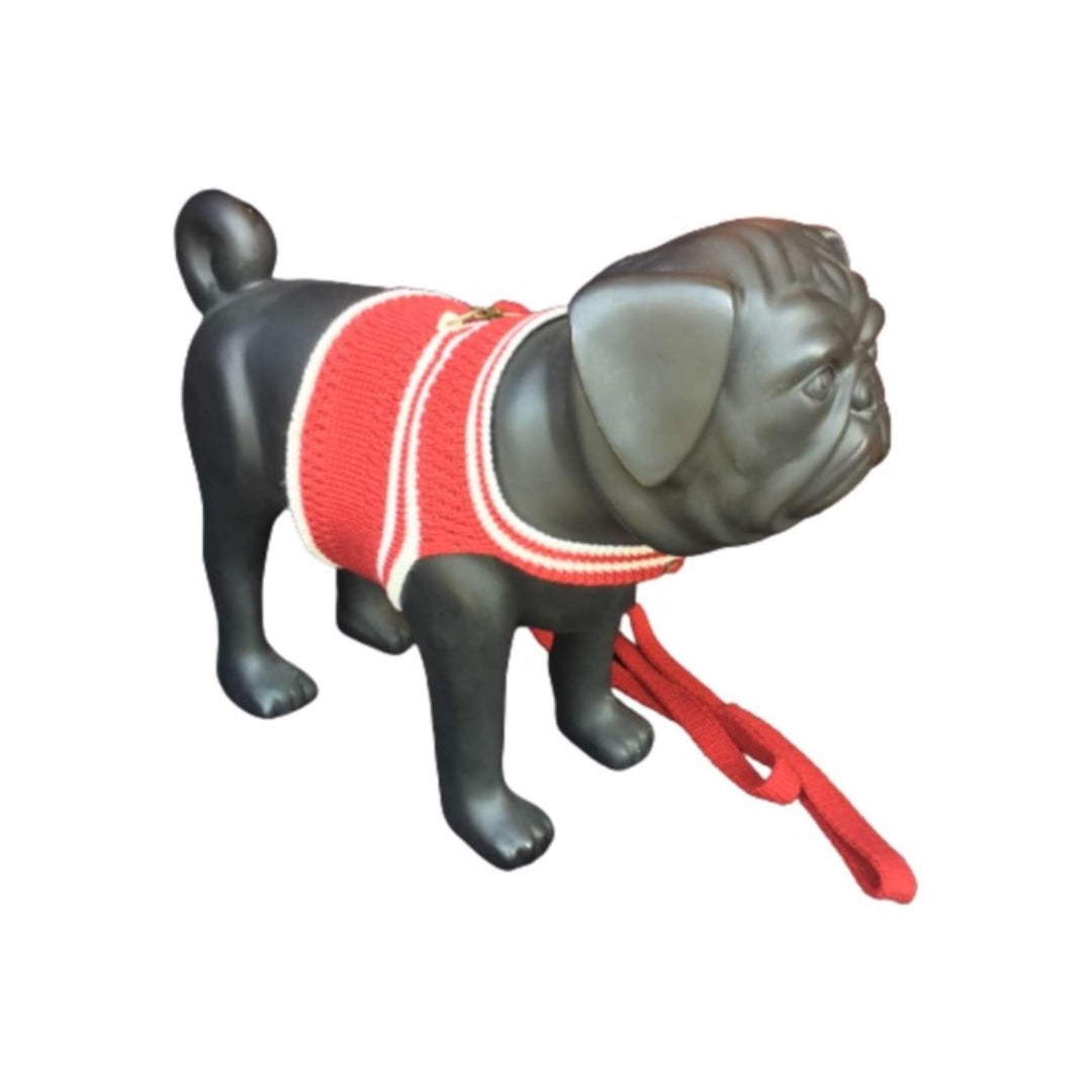 CozyPaws Knitted Organic Wool Pet Leash