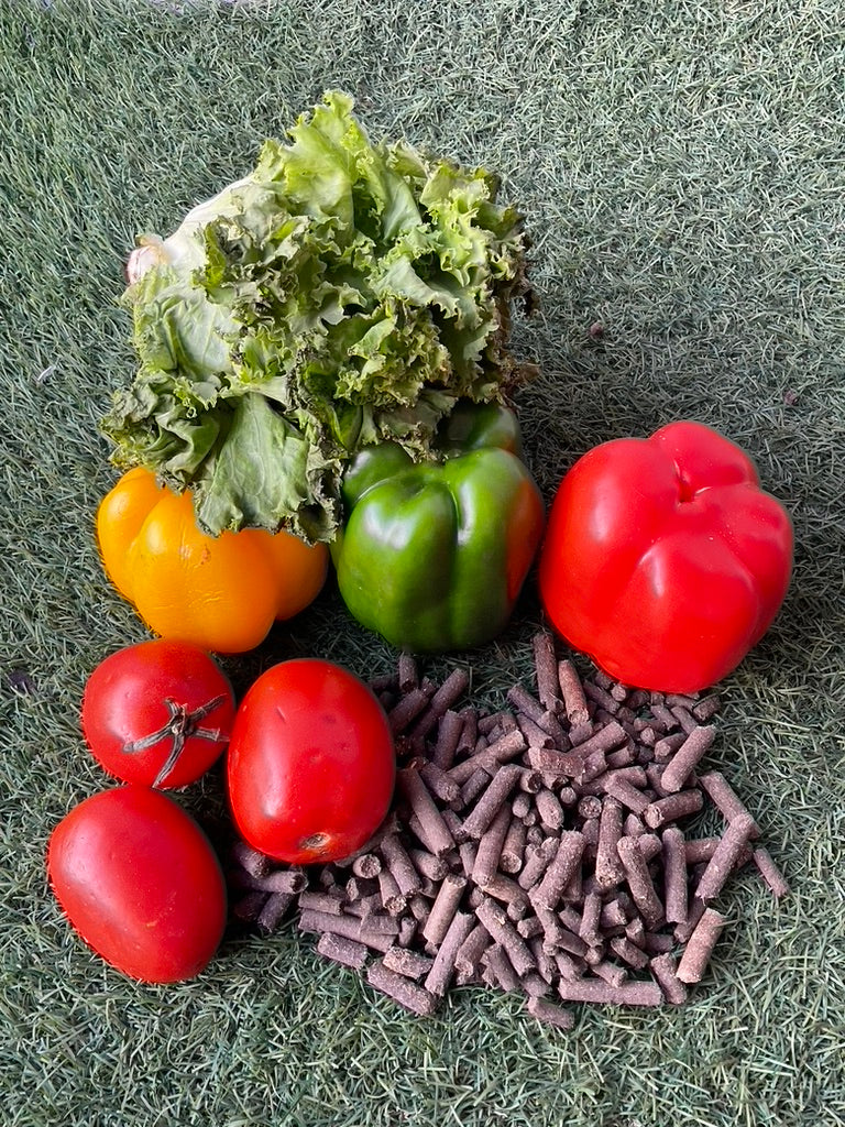 Bio-wool pellet (Fertilizer)