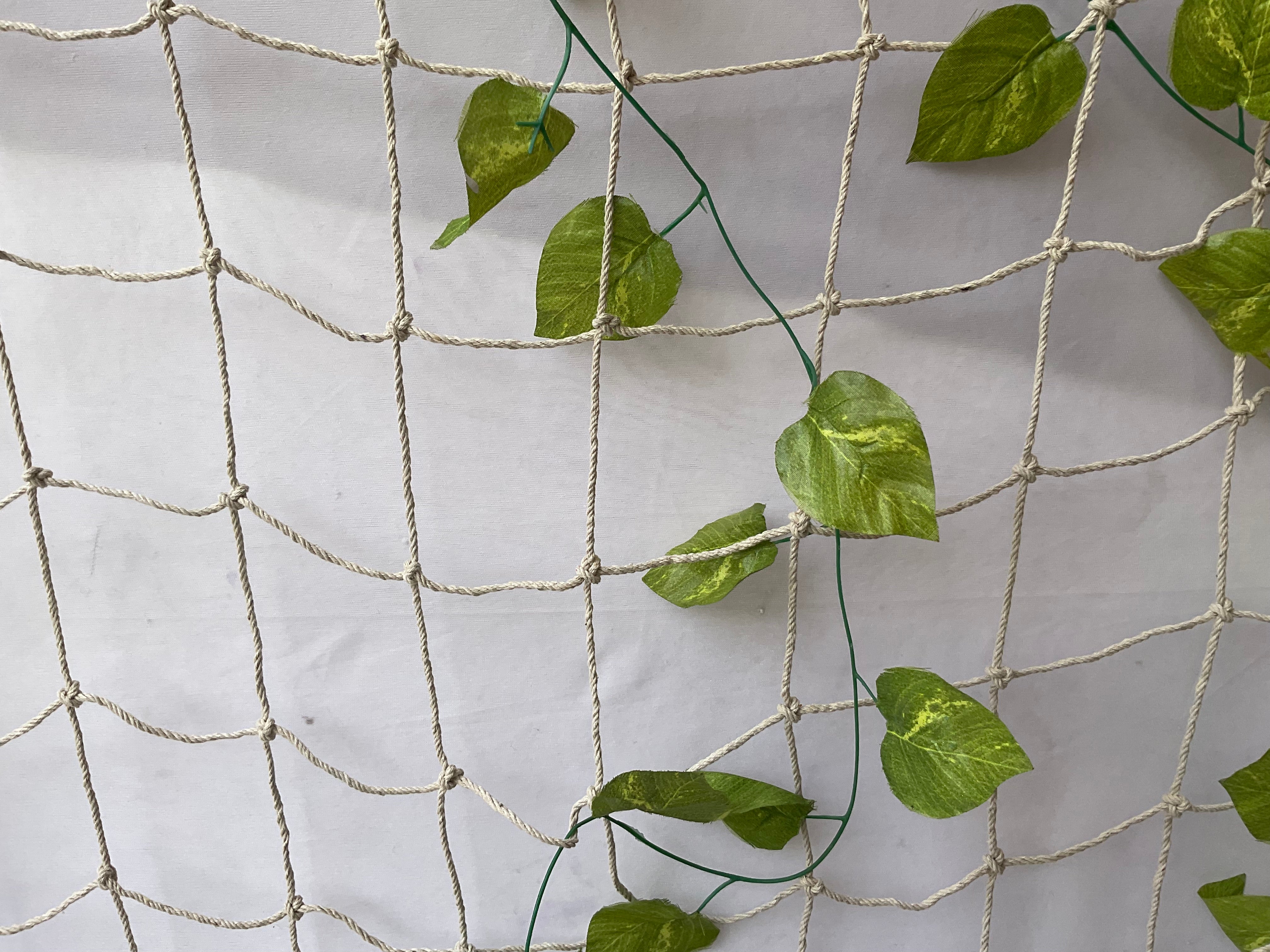 Garden Climbing Net