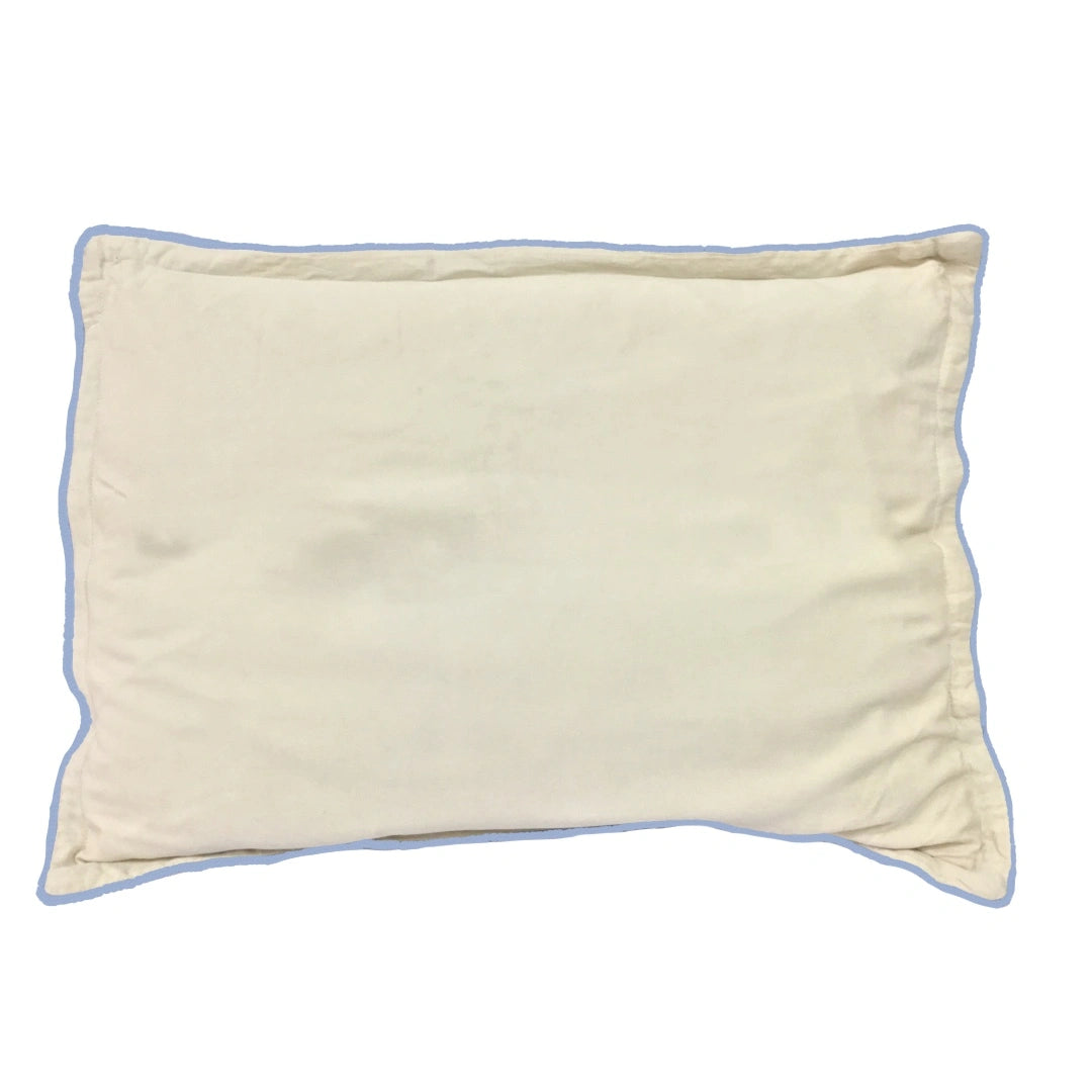 Pillow with cover | Eri-silk pillow |