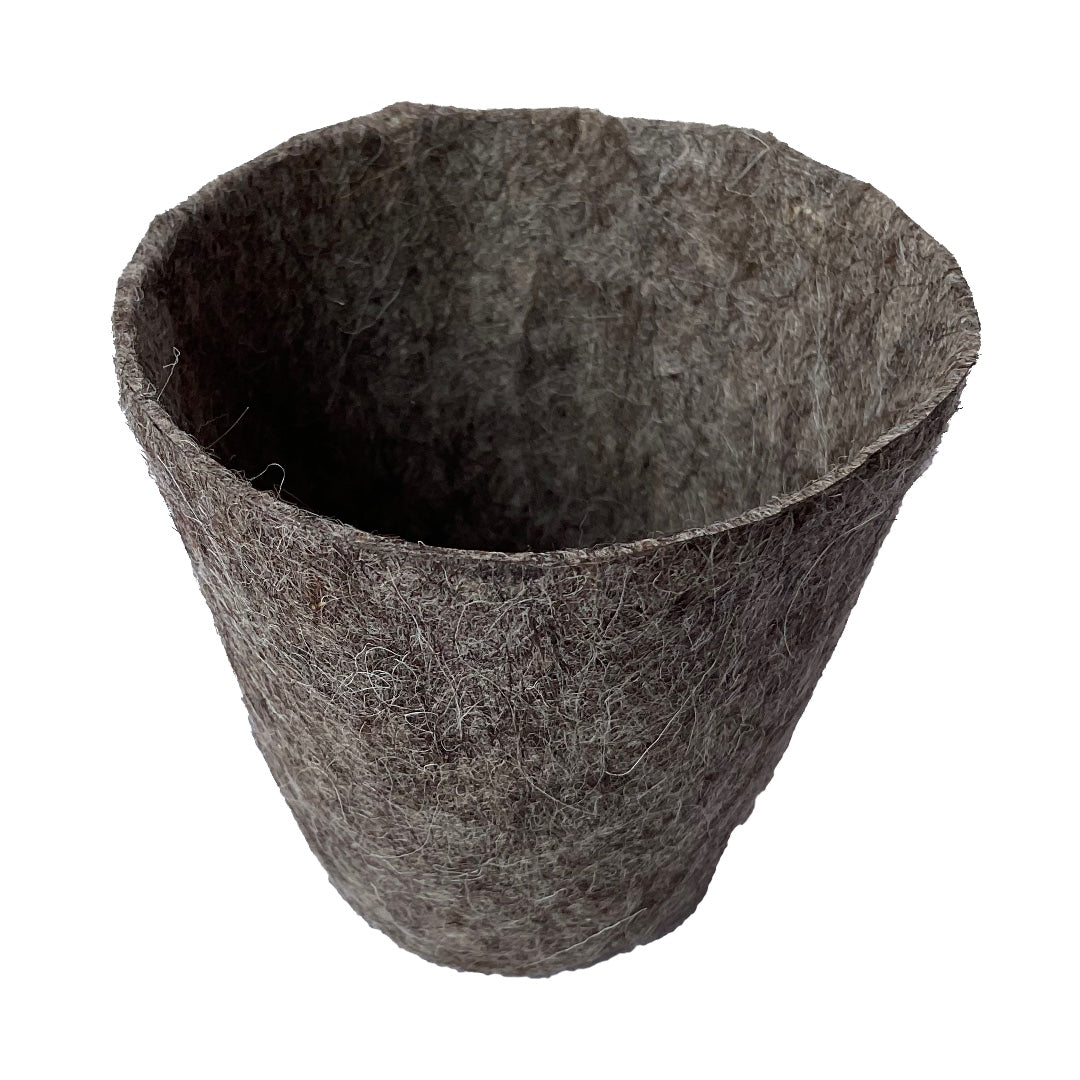 Seeding Pot  Set of 12