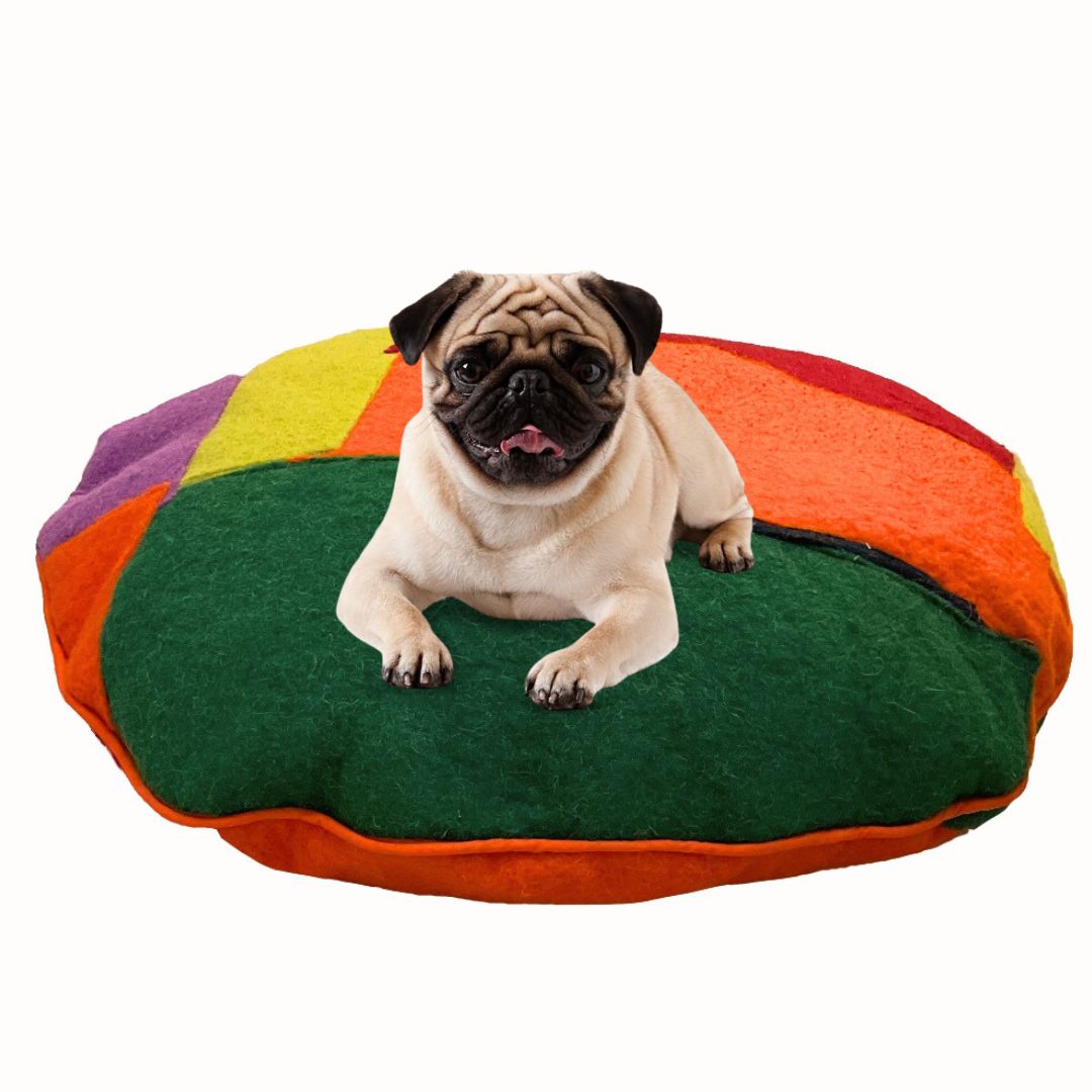 Wool Pet Bed Sustainable Comfort with Style