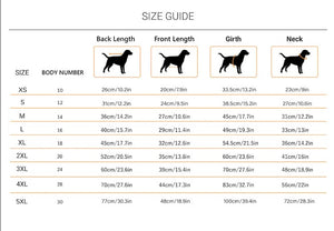 100 % Wool | Dog Sweater | Colour : Multi